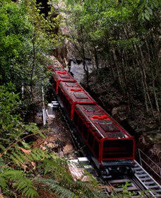 Andersons Tours - Holiday Sunshine Coast 1