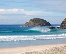 Surfaris Surf Camp - Sunshine Coast Tourism 4