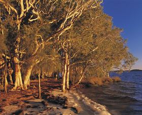East Coast Adventure Bus - Holiday Sunshine Coast 2