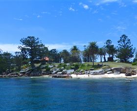 Sydney Harbour Discovery - Sunshine Coast Tourism 1