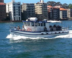 Deep Sea Fishing Charter - Sunshine Coast Tourism 2