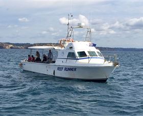 Deep Sea Fishing Charter - Sunshine Coast Tourism 3