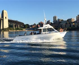 Deep Sea Fishing Charter - Sunshine Coast Tourism 4
