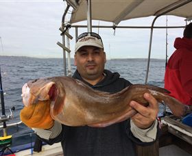 Deep Sea Fishing Charter - Sunshine Coast Tourism 5