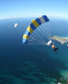 Skydive The Beach And Beyond Sydney - Wollongong - Holiday Sunshine Coast 6