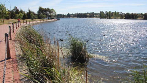 Yerrabi Pond - Sunshine Coast Tourism 1