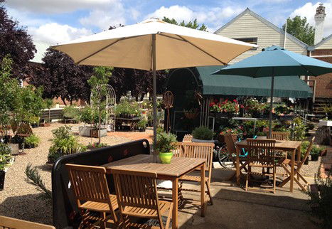 Mayfield Mews - Sunshine Coast Tourism 0