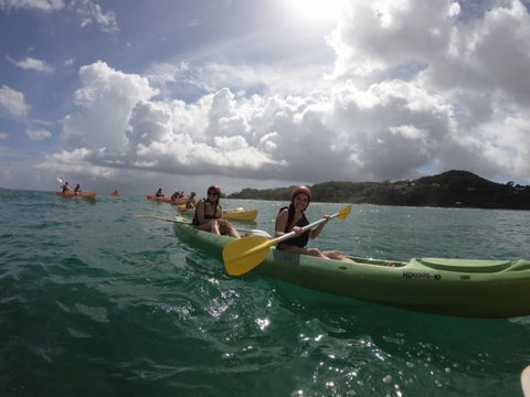 Cape Byron Kayaks - Sunshine Coast Tourism 3