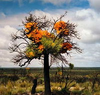The Delmar Gallery - Holiday Sunshine Coast