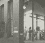 Kingsgrove NSW Sunshine Coast Tourism