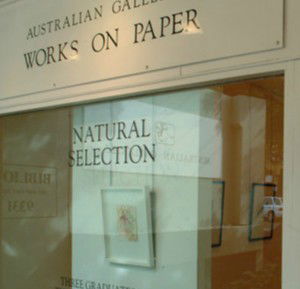 Australian Galleries - Roylston Street - Holiday Sunshine Coast 1