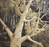 Ku-Ring-Gai Art Centre  Gallery - Holiday Sunshine Coast