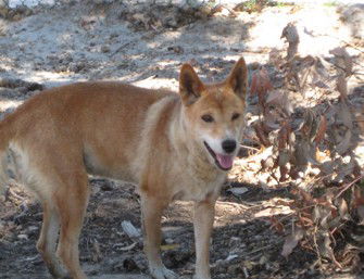  Holiday Sunshine Coast