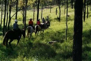 Windella NSW Sunshine Coast Tourism