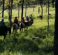 Hunter Valley Horse Riding and Adventures - Holiday Sunshine Coast