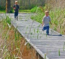 Hunter Wetlands Centre Australia - Sunshine Coast Tourism 1