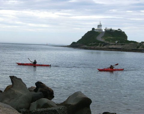 Newcastle Kayak Tours - Sunshine Coast Tourism 0