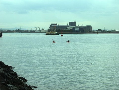 Newcastle Kayak Tours - Sunshine Coast Tourism 5