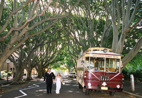 Newcastles Famous Tram - Holiday Sunshine Coast 2