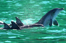 Sydney Weekend Adventures - Holiday Sunshine Coast 1