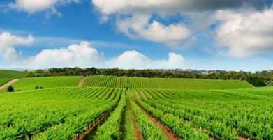 Sydney Weekend Adventures - Holiday Sunshine Coast 2