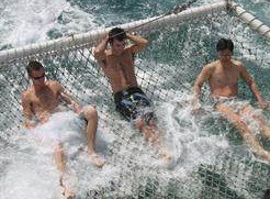 Tex Tours - Sunshine Coast Tourism 2