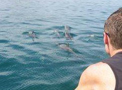 Tex Tours - Sunshine Coast Tourism 3