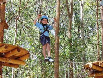 TreeTops Newcastle - Holiday Sunshine Coast 0
