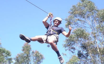 TreeTops Newcastle - Holiday Sunshine Coast 1