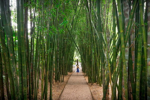 Crystal Castle & Shambhala Gardens - Sunshine Coast Tourism 1