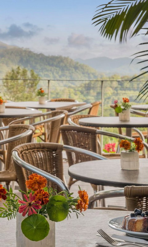 Crystal Castle & Shambhala Gardens - Sunshine Coast Tourism 2