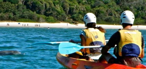 Go Sea Kayak - Sunshine Coast Tourism 2