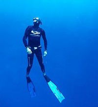 Byron Bay Dive Centre - Holiday Sunshine Coast 1