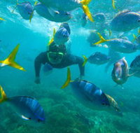 G Adventures - Sunshine Coast Tourism