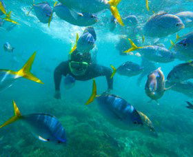 G Adventures - Holiday Sunshine Coast 0