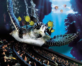 IMAX Theatre Sydney - Sunshine Coast Tourism 0