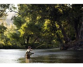Fly Fishing Tumut - Holiday Sunshine Coast 1