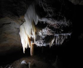 Country Charmâ„¢ Discovery Tours - Sunshine Coast Tourism 1