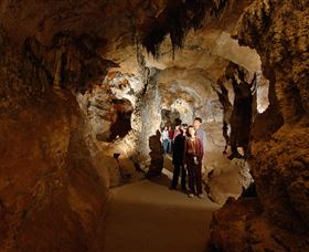 Country Charmâ„¢ Discovery Tours - Sunshine Coast Tourism 3