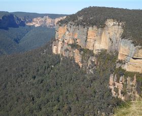 Country Charmâ„¢ Discovery Tours - Sunshine Coast Tourism 4