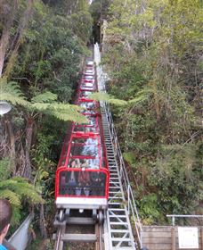 Country Charmâ„¢ Discovery Tours - Sunshine Coast Tourism 6
