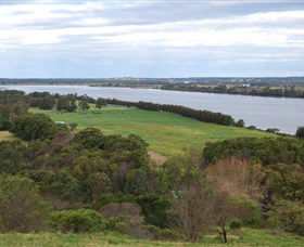 South Coast Scenic Tours - Holiday Sunshine Coast 1