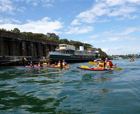 Natural Wanders - Holiday Sunshine Coast 5