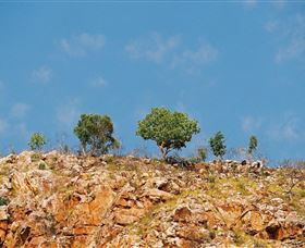 The Aperture Club - Sunshine Coast Tourism 3