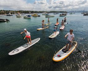 WATSSUP Watsons Bay Stand Up Paddling - Holiday Sunshine Coast 2