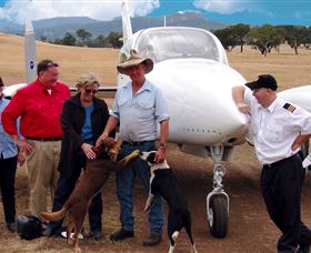 Bankstown Aerodrome NSW Sunshine Coast Tourism