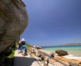Queenscliff Beach - Sunshine Coast Tourism 0