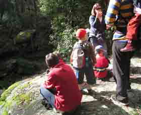Boronia Tours - Holiday Sunshine Coast 2