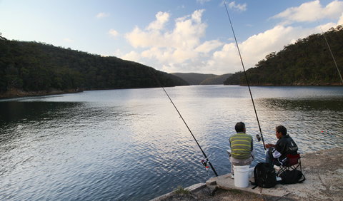 D'Albora Marinas At Akuna Bay - Sunshine Coast Tourism 3