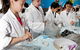 Australian Nuclear Science And Technology Organisation - thumb 1